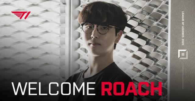 的大新闻 的大新闻